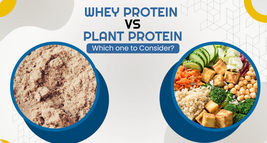 Whey Protein vs. Plant-Based Protein: Which One is Better?