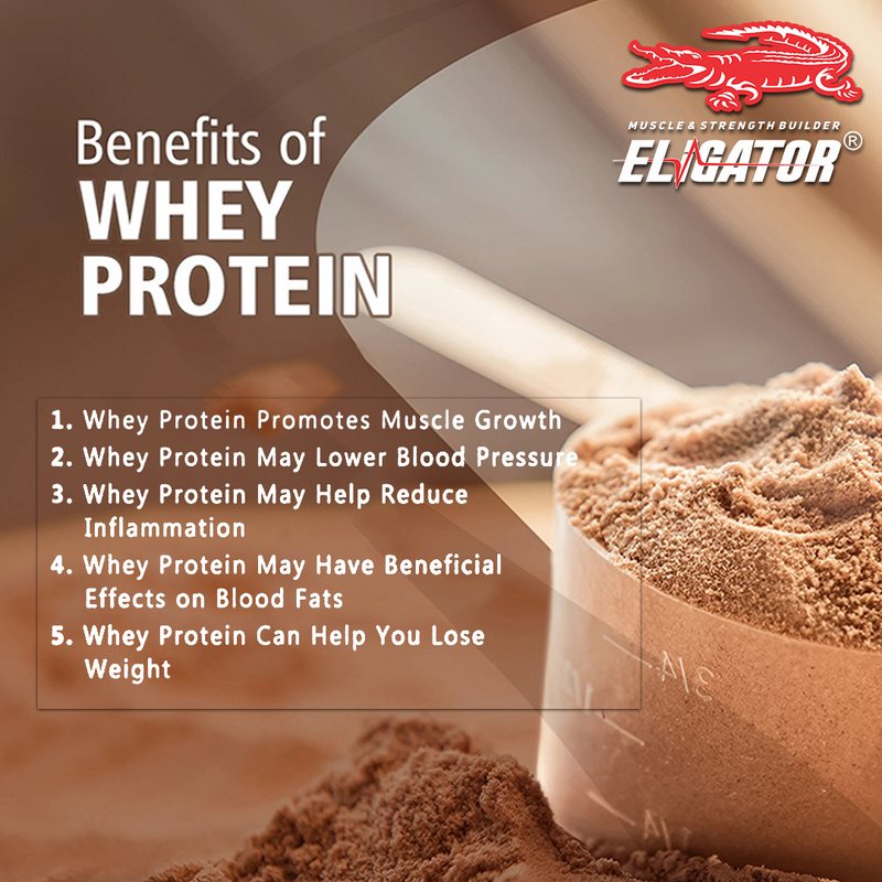 Load image into Gallery viewer, Eligator Perfect Whey Protein Powder- 2KG (4.4LBS)