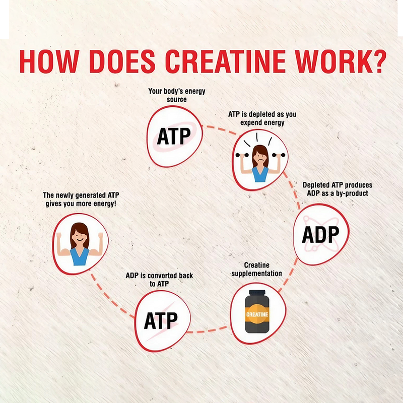 Load image into Gallery viewer, Eligator Creatine Monohydrate Unflavoured
