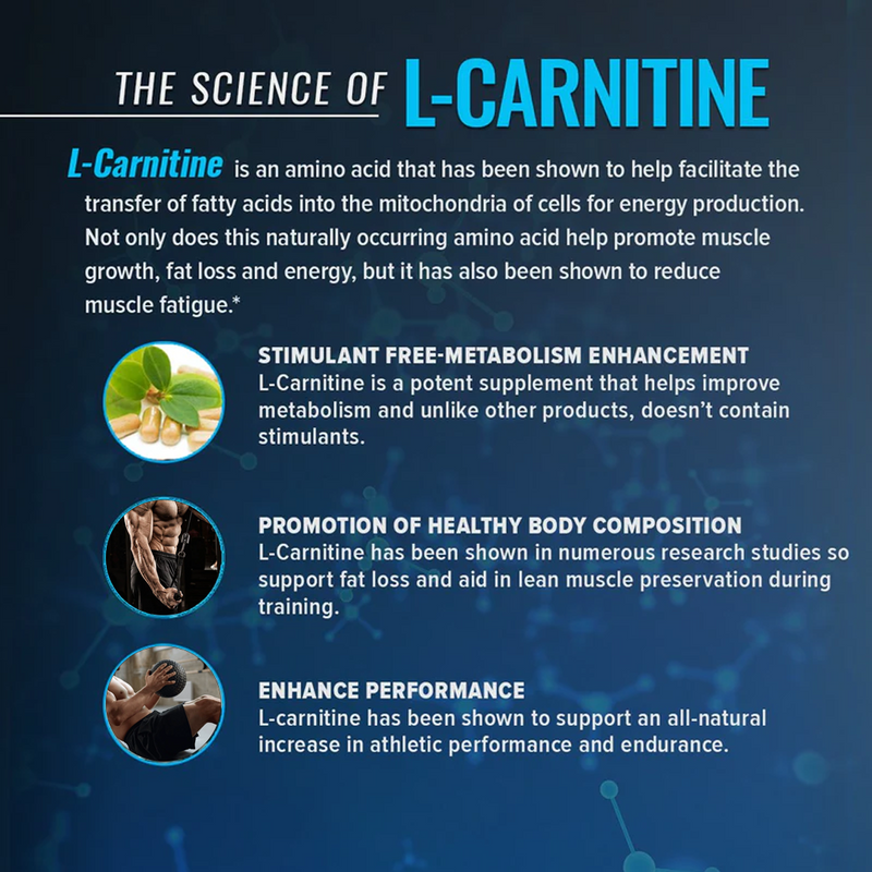 Load image into Gallery viewer, Eligator L-Carnitine 3500MG - 30 Servings (450ml)