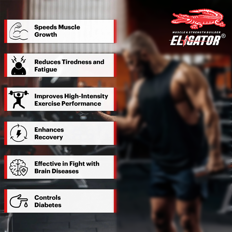 Load image into Gallery viewer, Eligator High Protein Weight Gainer 2.7Kg (6lbs) with Free Creatine Monohydrate 250gm