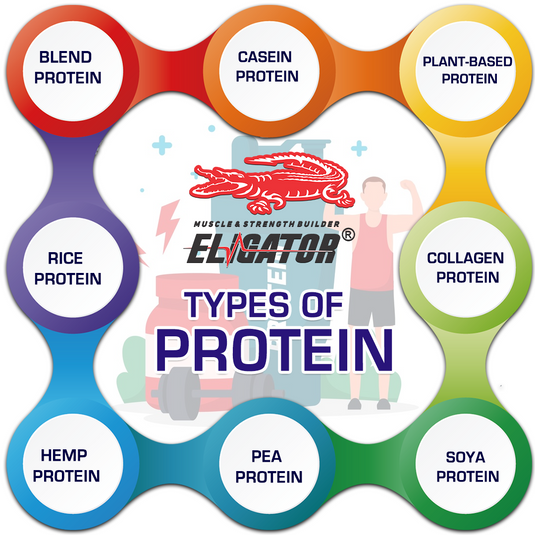 Understanding Different Types of Proteins: A Comprehensive Guide