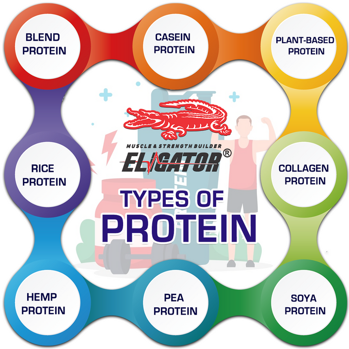 Different Protien Understanding Different Types of Proteins: A Comprehensive Guide ...