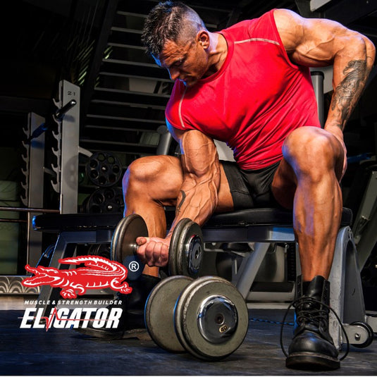 Protein Timing Myth: Is the Anabolic Window Really Necessary?