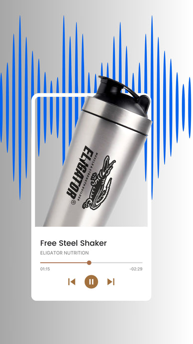 Eligator Premium Steel Shaker