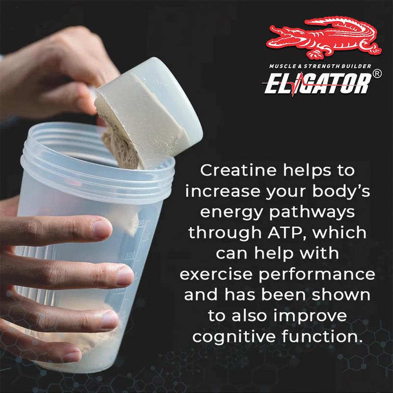 Load image into Gallery viewer, Eligator Pro Micronized Creatine Powder (100 Servings)
